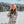 Load image into Gallery viewer, Taiga 24 H Cream Sensitive