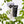 Load image into Gallery viewer, Taiga-Clay-Mask-All-Skin-Types-3